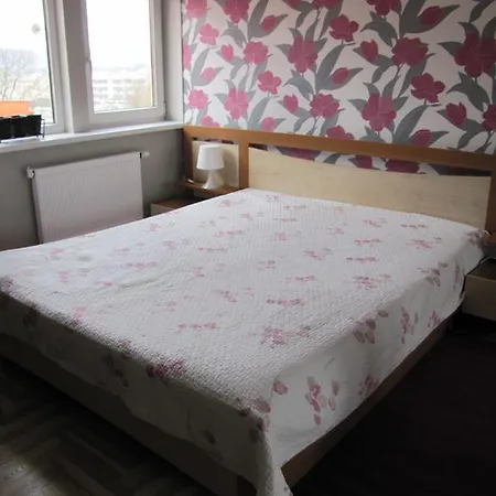 דירה Rotundo Penthouse וילנה